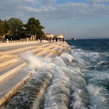 Apartment Olives Zadar Oda fotoğraf